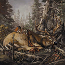 The Acacia Strain - Failure will follow (CD) - Discords.nl