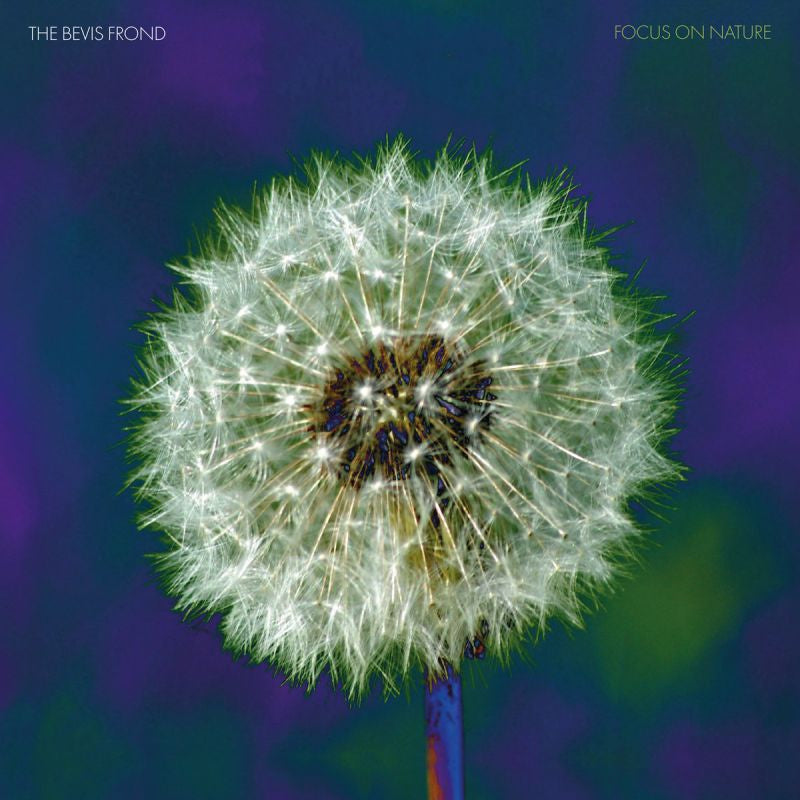 The Bevis Frond - Focus on nature -purple vinyl- (LP) - Discords.nl
