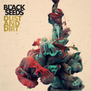 The Black Seeds - Dust and dirt (CD) - Discords.nl