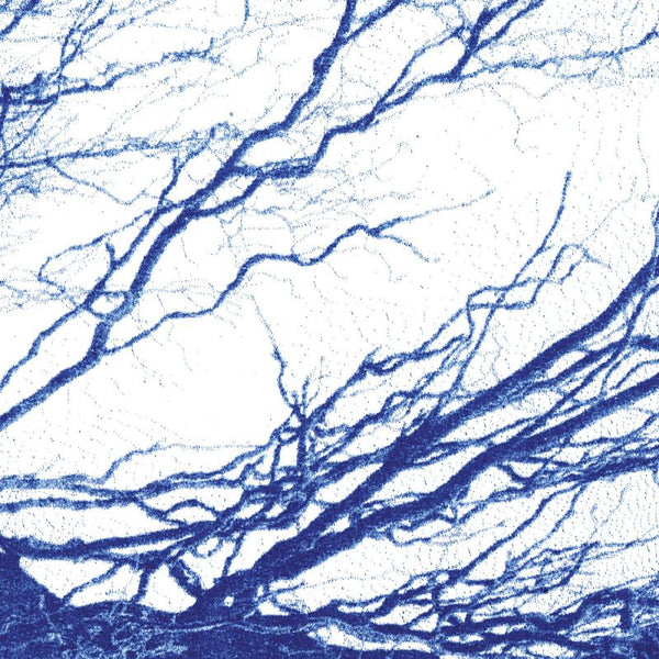 The Bony King Of Nowhere - Silent days (LP) - Discords.nl