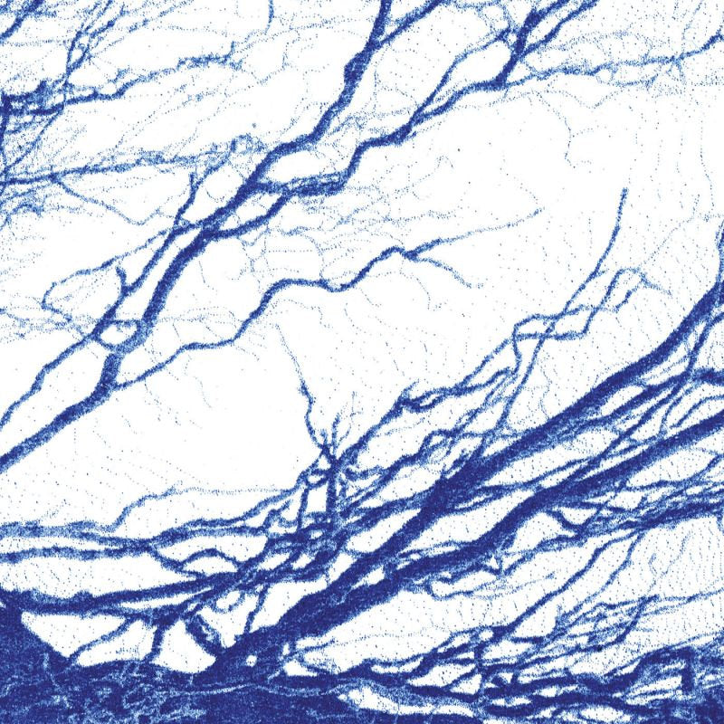 The Bony King Of Nowhere - Silent days (LP) - Discords.nl