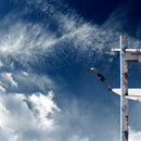 The Boxer Rebellion - Promises (reissue) (blue swirled vinyl) (LP) - Discords.nl