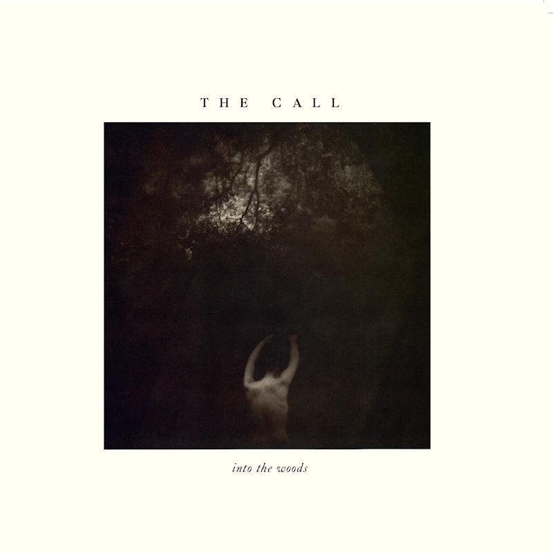 Call, The - Into The Woods (LP)