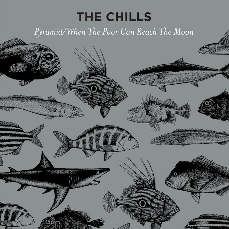 The Chills - Pyramid / when the poor can reach the moon (12-inch) - Discords.nl