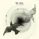 The Coral - Distance inbetween (CD) - Discords.nl