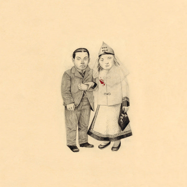 Decemberists - Crane wife (LP) - Discords.nl