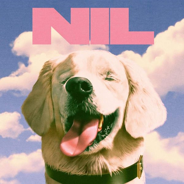 Dirty Nil - Fuck art (LP) - Discords.nl