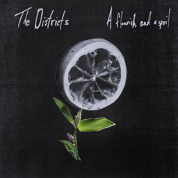 The Districts - A flourish and a spoil (LP)