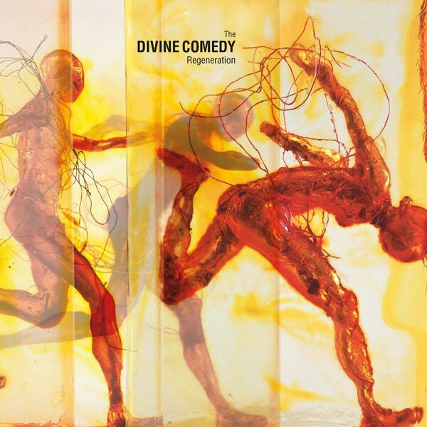 The Divine Comedy - Regeneration (LP) - Discords.nl