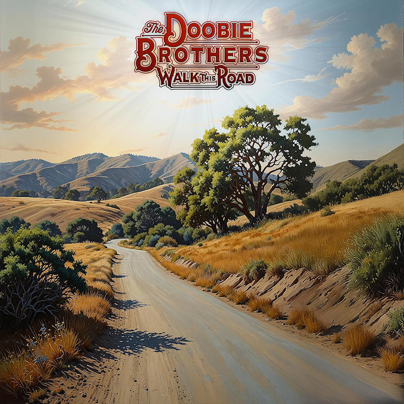 Doobie Brothers, The - Walk This Road (LP)
