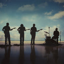 The Fearless Flyers - The fearless flyers v (CD)