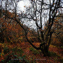 Fields Of Hay - A circle of skin (CD)