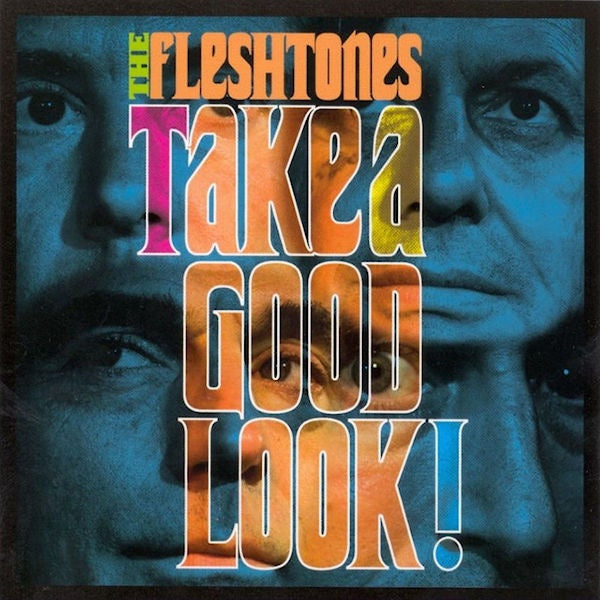 Fleshtones - Take a good look (CD) - Discords.nl