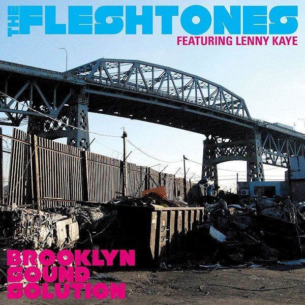 Fleshtones - Brooklyn sound solution (CD) - Discords.nl