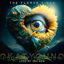 The Flower Kings - Look at you now (LP) - Discords.nl