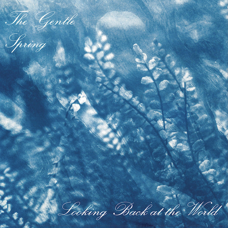 Gentle Spring - Looking back at the world (LP) | Discords.nl