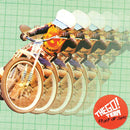 The Go! Team - Proof of youth (LP) - Discords.nl