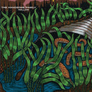 The Handsome Family - Hollow (LP) - Discords.nl