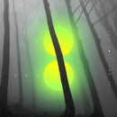 The Holy Family - Go zero (CD) - Discords.nl