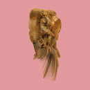 The Holy Family - Values (CD) - Discords.nl