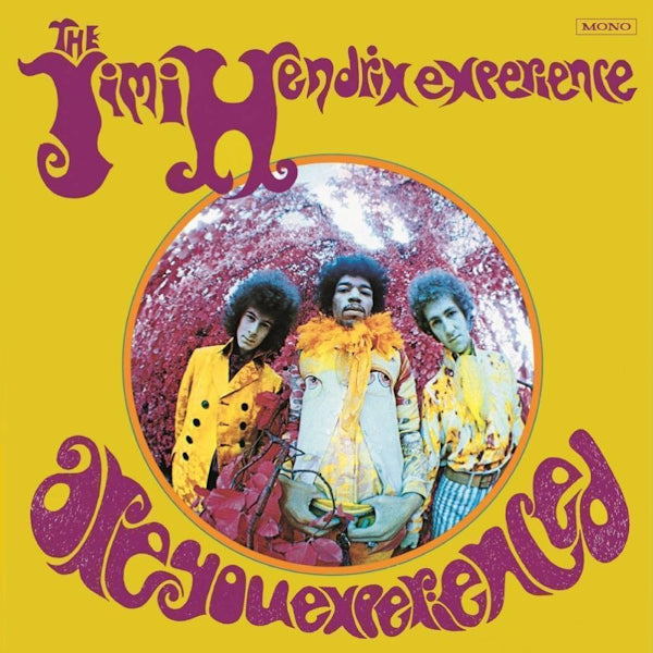 The Jimi Hendrix Experience - Are you experienced (LP) - Discords.nl