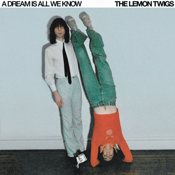 The Lemon Twigs - A dream is all we know (CD) - Discords.nl