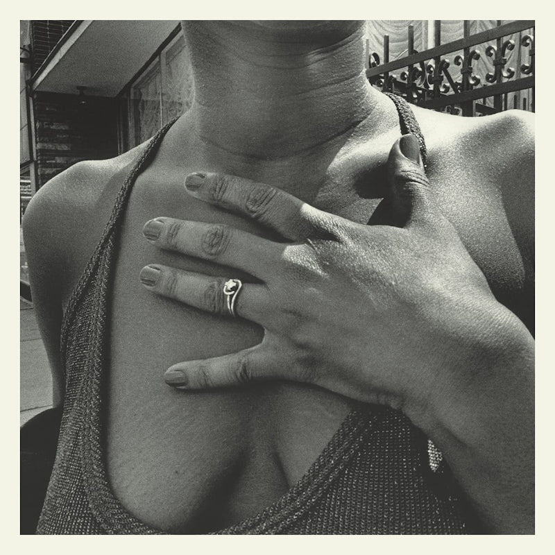 The Menzingers - On the impossible past (LP) - Discords.nl