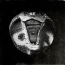 Mommyheads - Genius killer (LP)