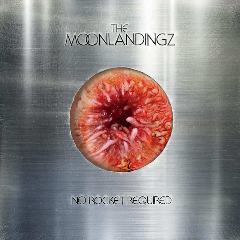 The Moonlandingz - No rocket required (CD) - Discords.nl