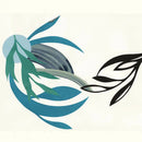 The Natural Lines - The natural lines (CD) - Discords.nl