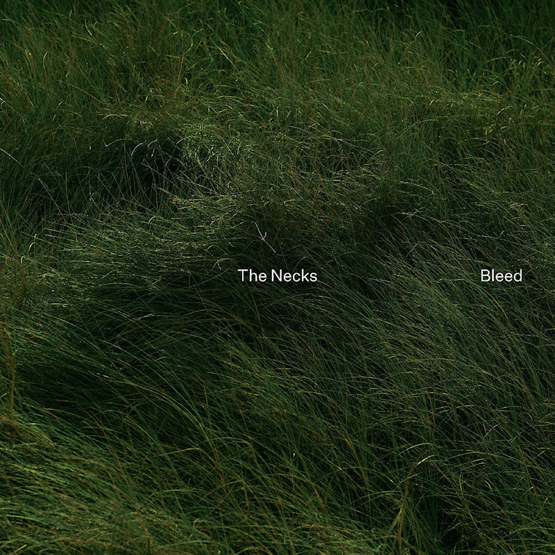 Necks, The - Bleed (LP)