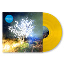 The Notwist - Vertigo days (LP) - Discords.nl