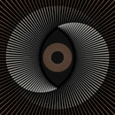 The Ocean - Holocene (instrumental) (LP) - Discords.nl