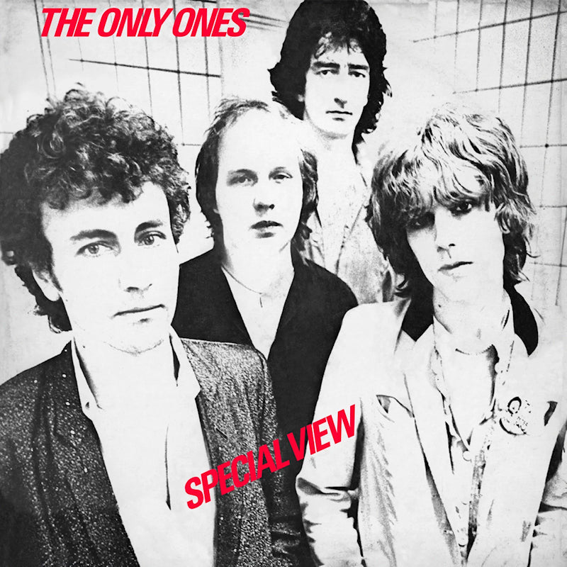Only Ones - Special view (LP) - Discords.nl