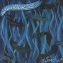 Pine Hill Haints - Smoke (LP) - Discords.nl