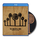 Pineapple Thief - Nothing but the truth (DVD / Blu-Ray) - Discords.nl