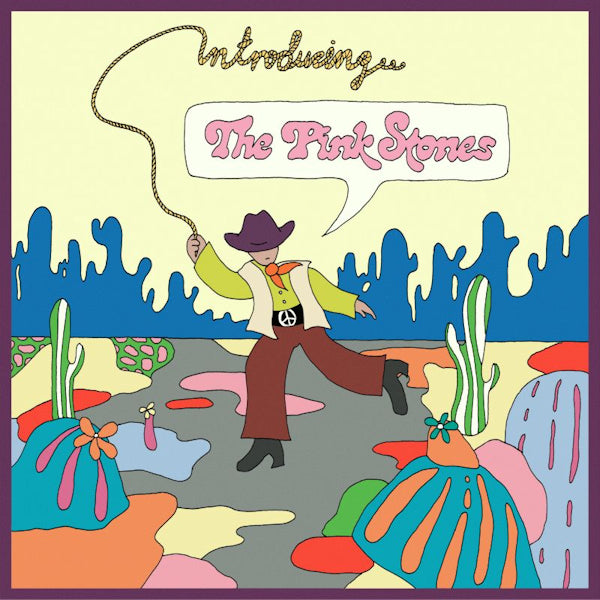 The Pink Stones - Introducing... The Pink Stones (CD) - Discords.nl