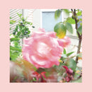 Pinks And Purples Reds - Summer at land's end (CD)