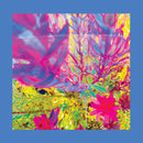 Pinks Reds & Purples - The past is a garden i never fed (neon pink) (LP)