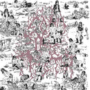 Soft Pink Truth - Why do the heathen rage (CD)