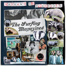 The Surfing Magazines - Badgers of wymeswold (LP) - Discords.nl