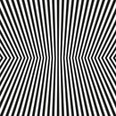 The Vacant Lots - Damage control (CD) - Discords.nl