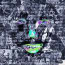 The Vices - Looking for faces (LP) - Discords.nl