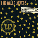 The Wallflowers - Bringing down the house (LP) - Discords.nl