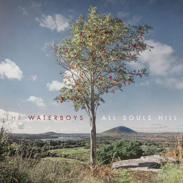 Waterboys - All souls hill (LP) - Discords.nl