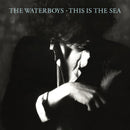 The Waterboys - This is the sea (CD) - Discords.nl