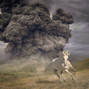 The White Buffalo - Year of the dark horse (LP) - Discords.nl