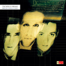 Wild Swans - Bringing home the ashes (LP)