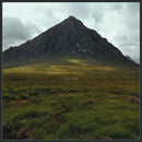 The Zone - The Zone (LP) - Discords.nl