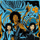 Thin Lizzy - The acoustic sessions (LP) - Discords.nl